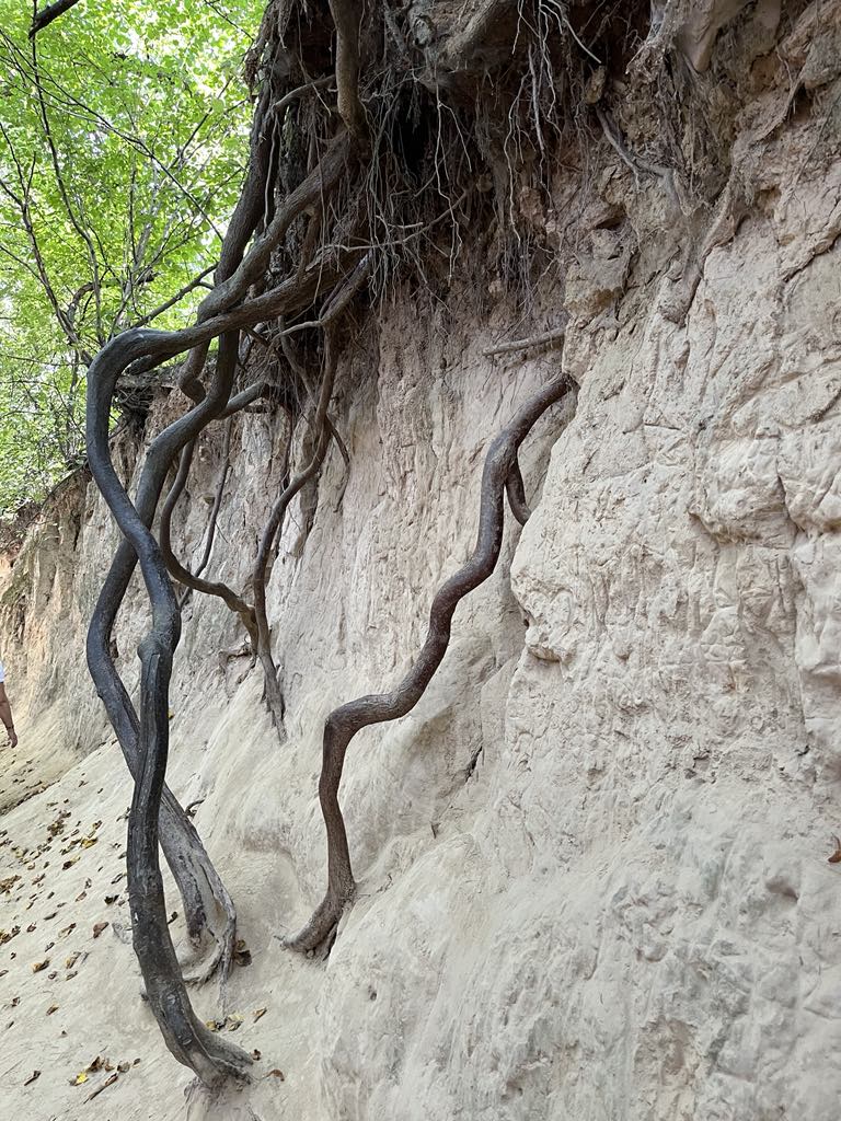 1f82c7c4-c20a-4c66-b757-a5d071df5322.jfif