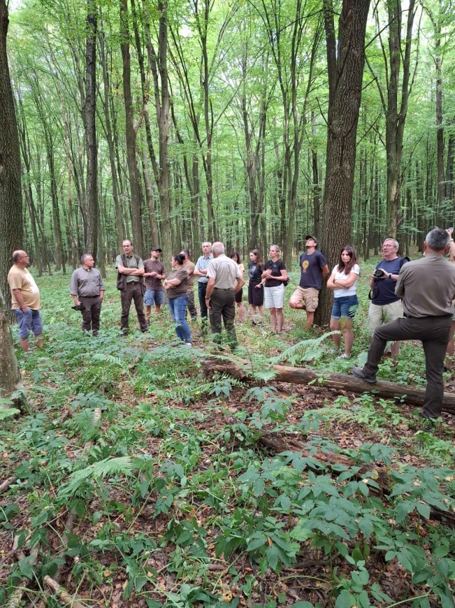 3a4f1a1f-2eb5-4b84-bc9b-73016ece2be0.jfif