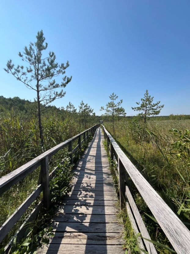 408ec34b-b8d1-45bf-87f7-6ec3c57d27d1.jfif