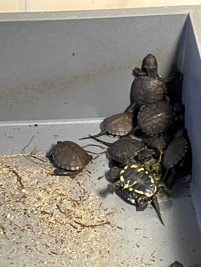 41b044db-ae00-4450-abce-781e8b0b0ce9.jfif