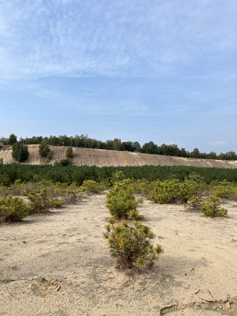 4c8e9ba2-baea-4d42-a515-6c92df92151f.jfif