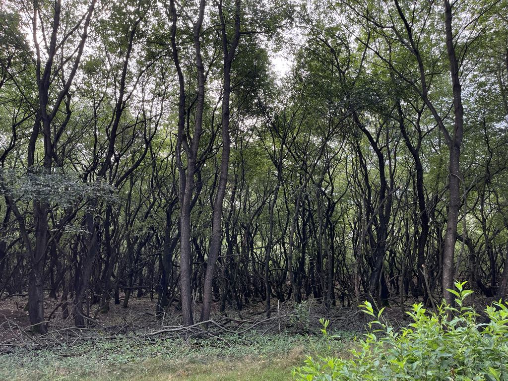 5d977a92-feb4-4853-8ba2-628e8af8622b.jfif